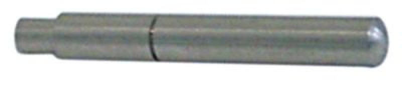 Ось дверная