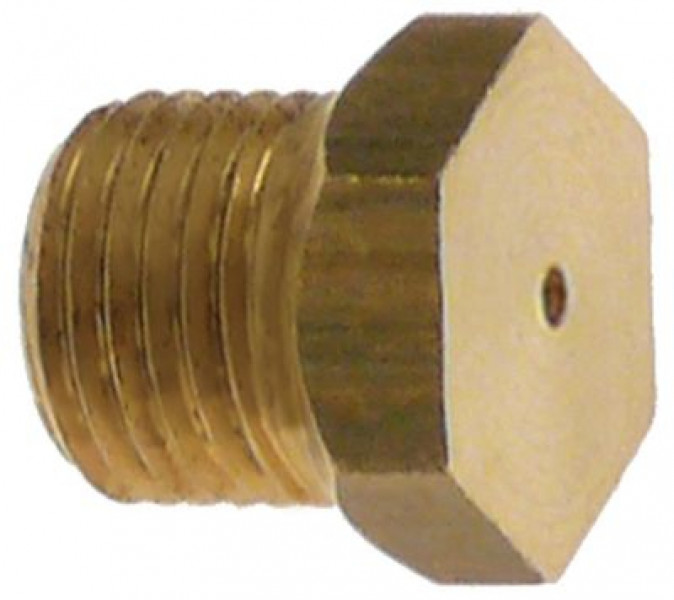 Жиклёр газовый резьба M10x1 ширина зева ключа 12 ø отверстия 19мм