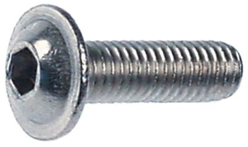 Винт с плоской головкой резьба M6 Д 20мм CNS отверстие внутренний шестигранник 4 мм