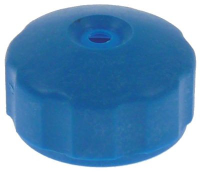 Дюза ополаскивателя голуб.