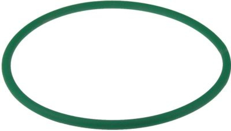 Ремень круглый Д 600мм ø 8мм