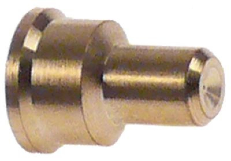 Жиклёр для конфорочной горелки жидкий газ код 20 ø отверстия 2мм POLIDORO кол-во в уп-вке 1штук