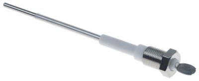 Электрод для контроля уровня 1/8" общая длина 110мм Д датчик 95мм