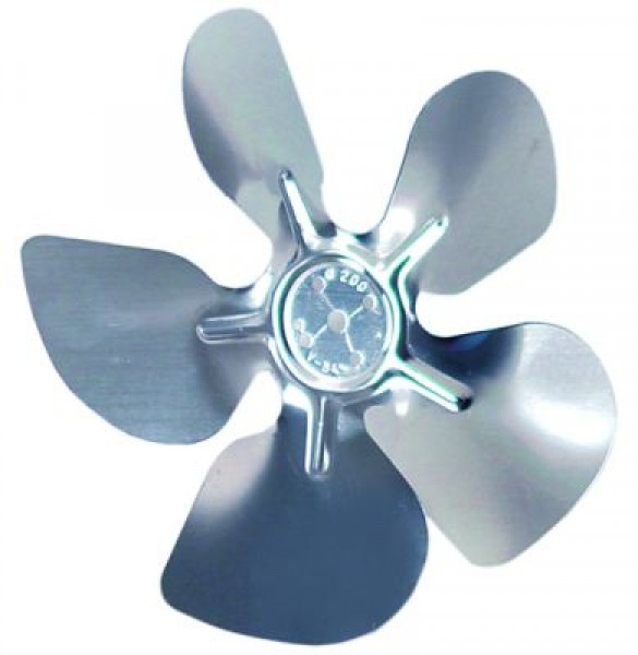 S0050124 Philipp Kirsch