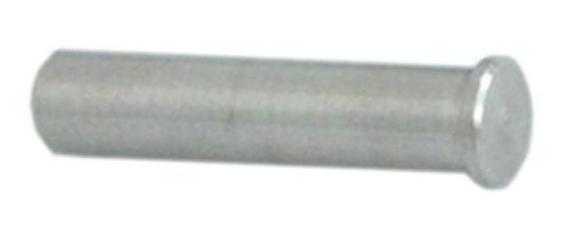 Ось дверная