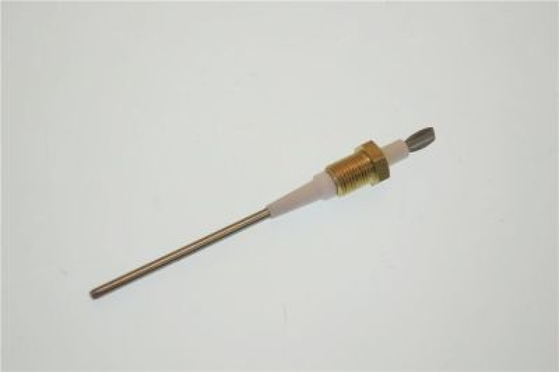 ASSEMBLY MAXIMUM LEVE PROBE 1GR.