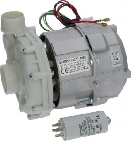 ELECTRIC PUMP OP L80.T7_5040 0.80HP inlet external ø 60 mm - outlet external ø 50 mm