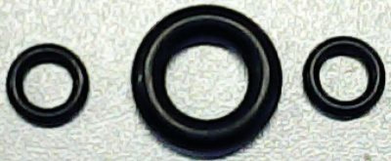 Кольцо уплотнительное круглого сечения для головки распылителя