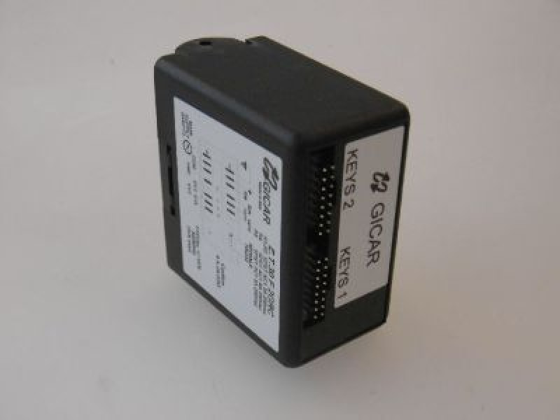 DOSATURA ELETTRONICA ET30F 115V 50/60Hz