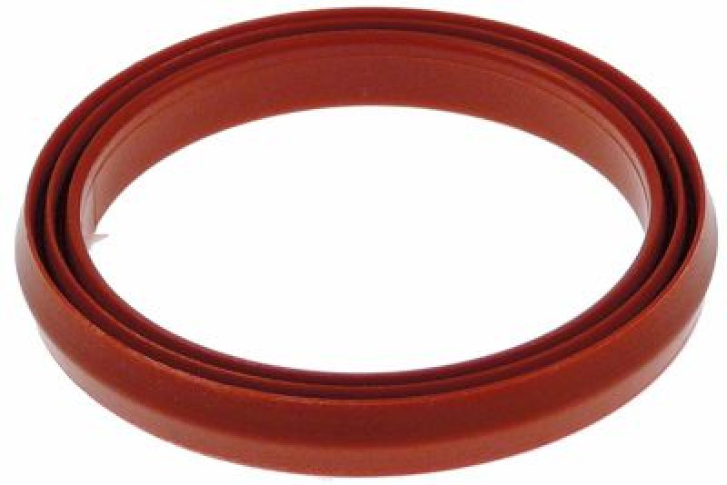 Уплотнитель внутр.ø 50мм внеш. ø 60мм для крышки для прибора SCC, SCC_WE, CM,CM_P с 04/2004