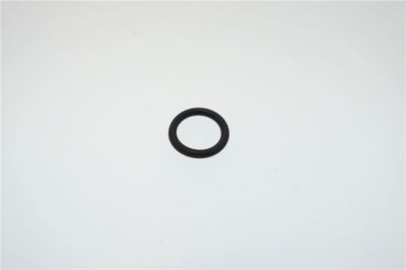 OR 110 EPDM 70 SHA  PARKER PADDLE